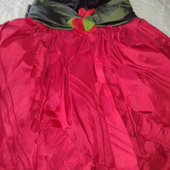 IRIS & IVY TODDLER BABY GIRL DRESS SIZE 2T - Picture 2 of 5